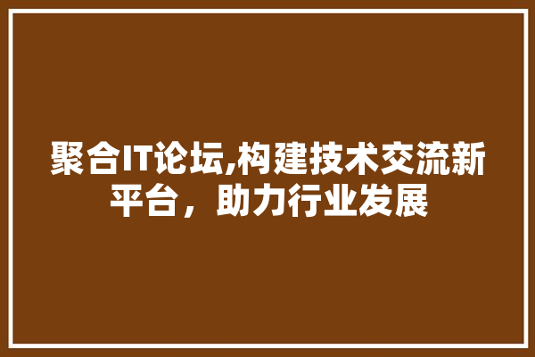 聚合IT论坛,构建技术交流新平台，助力行业发展 云服务