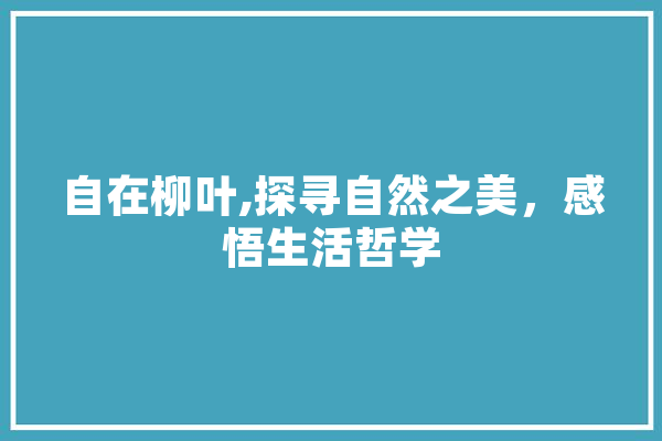 自在柳叶,探寻自然之美，感悟生活哲学
