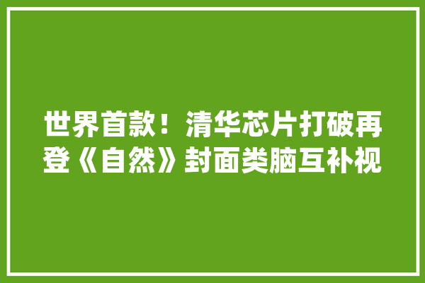 世界首款！清华芯片打破再登《自然》封面类脑互补视觉芯片问世_芯片_人工智能 智能写作