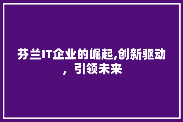 芬兰IT企业的崛起,创新驱动，引领未来