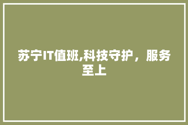 苏宁IT值班,科技守护，服务至上 计算机