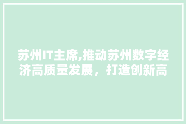 苏州IT主席,推动苏州数字经济高质量发展，打造创新高地