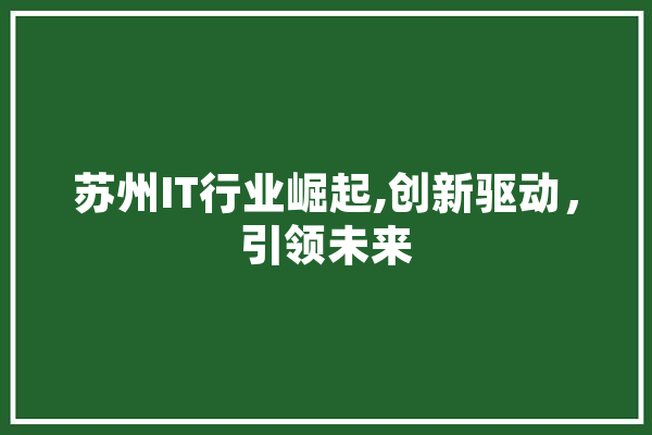 苏州IT行业崛起,创新驱动，引领未来
