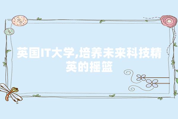 英国IT大学,培养未来科技精英的摇篮