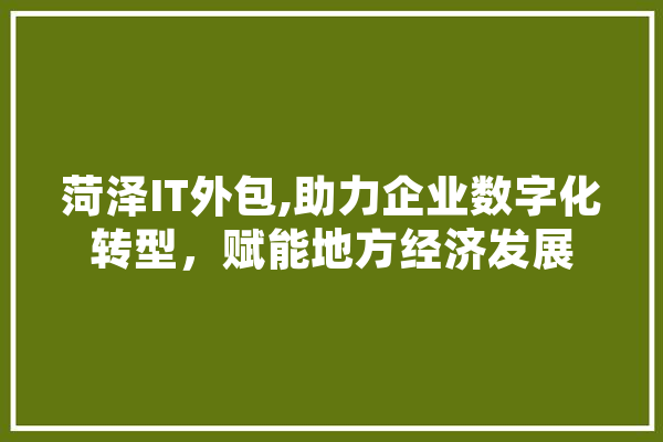 菏泽IT外包,助力企业数字化转型，赋能地方经济发展 科技快讯