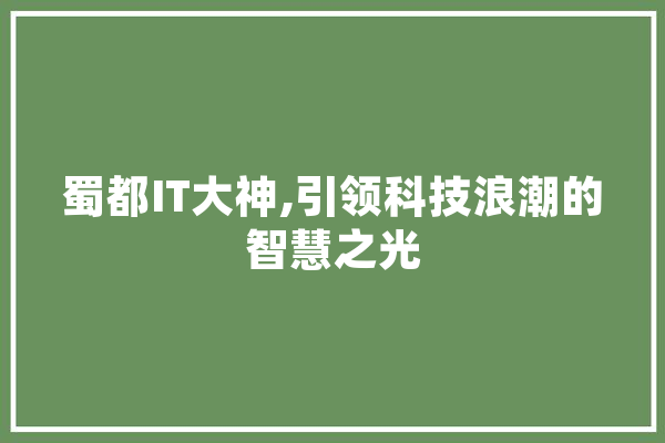 蜀都IT大神,引领科技浪潮的智慧之光