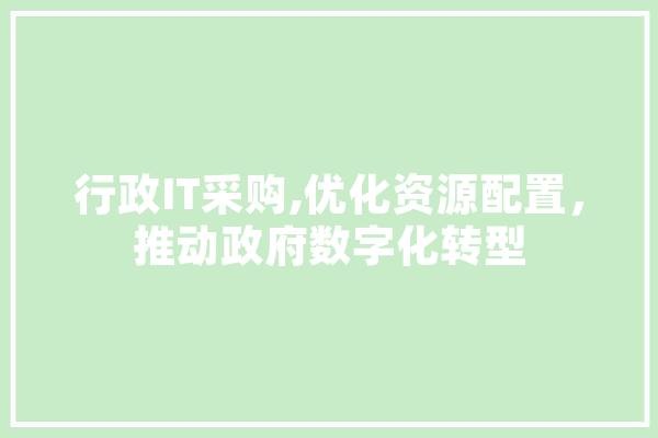 行政IT采购,优化资源配置，推动政府数字化转型