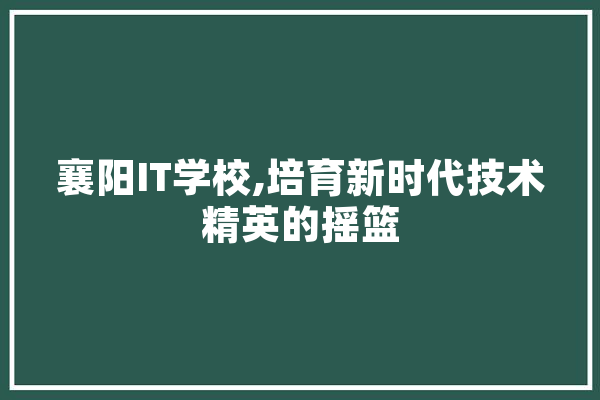 襄阳IT学校,培育新时代技术精英的摇篮