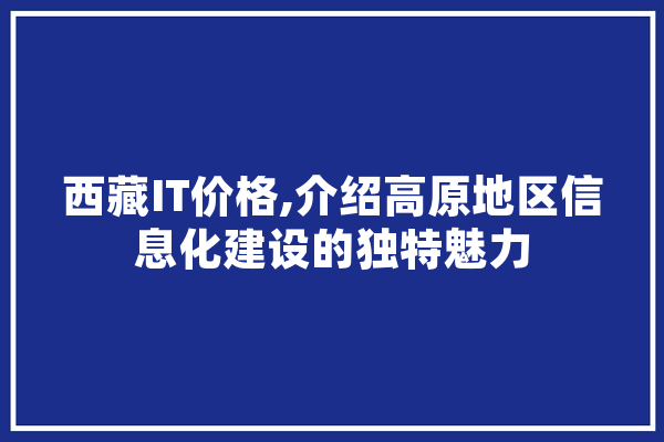 西藏IT价格,介绍高原地区信息化建设的独特魅力