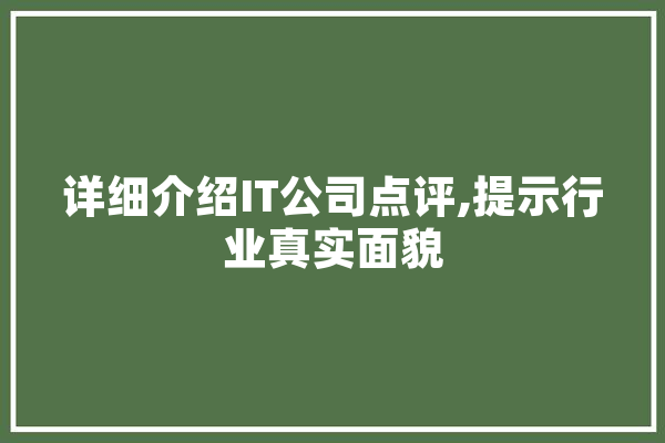 详细介绍IT公司点评,提示行业真实面貌 绘影字幕