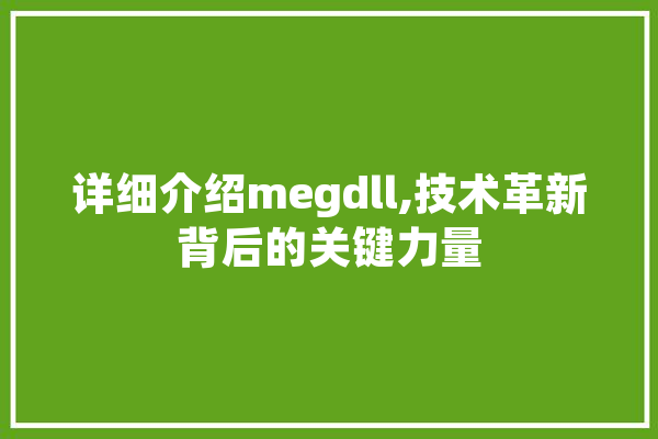 详细介绍megdll,技术革新背后的关键力量 绘影字幕