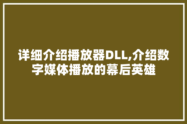 详细介绍播放器DLL,介绍数字媒体播放的幕后英雄 智能问答