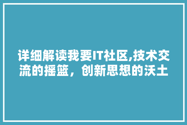 详细解读我要IT社区,技术交流的摇篮，创新思想的沃土