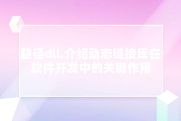 路径dll,介绍动态链接库在软件开发中的关键作用