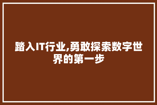 踏入IT行业,勇敢探索数字世界的第一步