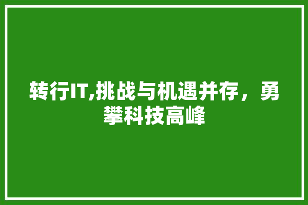 转行IT,挑战与机遇并存，勇攀科技高峰