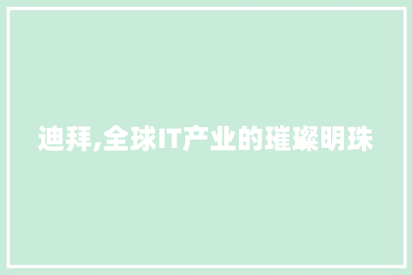 迪拜,全球IT产业的璀璨明珠