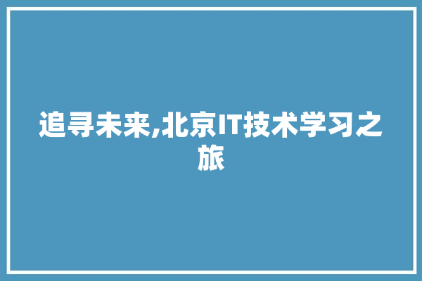 追寻未来,北京IT技术学习之旅
