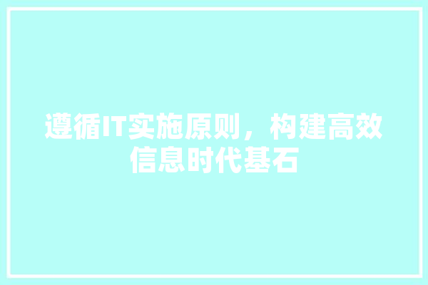 遵循IT实施原则，构建高效信息时代基石 科技快讯