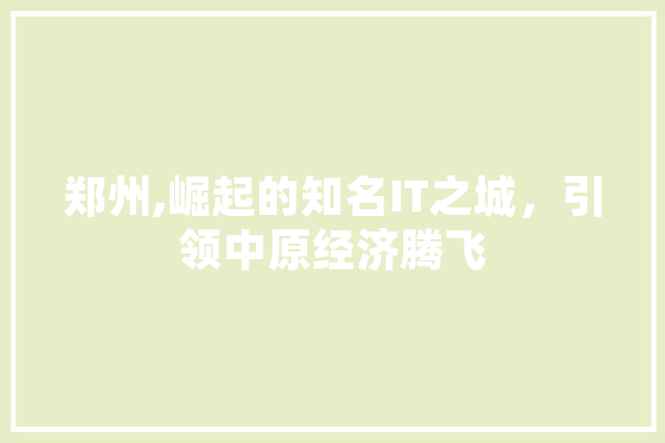 郑州,崛起的知名IT之城，引领中原经济腾飞