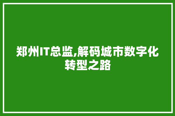 郑州IT总监,解码城市数字化转型之路