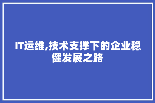 IT运维,技术支撑下的企业稳健发展之路 计算机