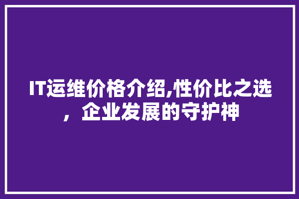 IT运维价格介绍,性价比之选，企业发展的守护神