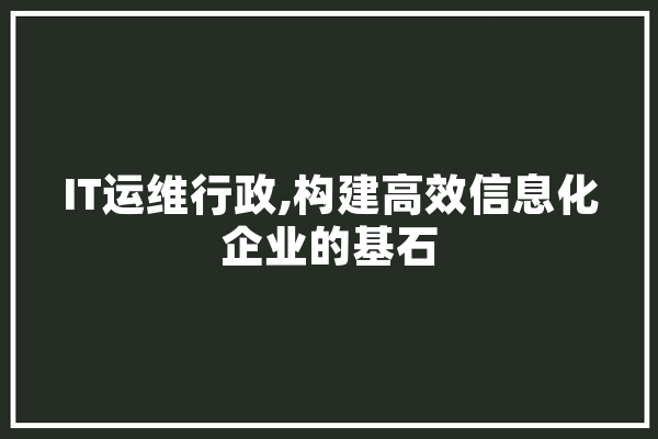 IT运维行政,构建高效信息化企业的基石