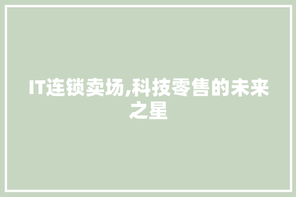 IT连锁卖场,科技零售的未来之星 AI简讯