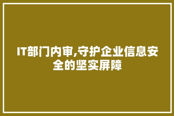 IT部门内审,守护企业信息安全的坚实屏障