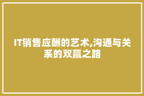 IT销售应酬的艺术,沟通与关系的双赢之路