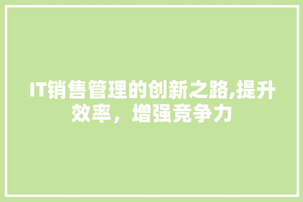 IT销售管理的创新之路,提升效率，增强竞争力