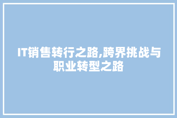 IT销售转行之路,跨界挑战与职业转型之路