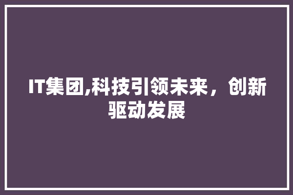 IT集团,科技引领未来，创新驱动发展