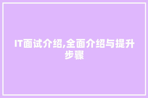 IT面试介绍,全面介绍与提升步骤