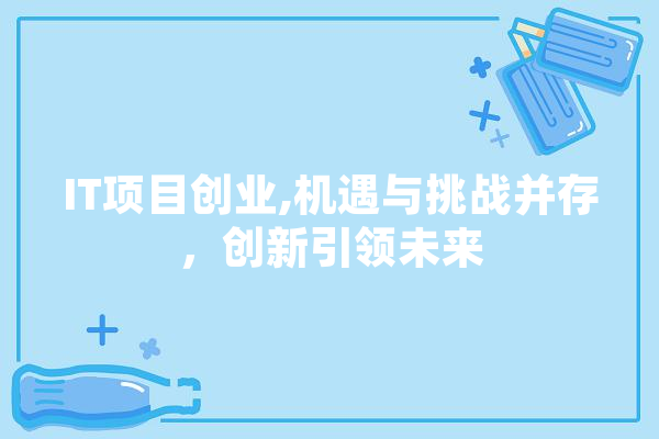 IT项目创业,机遇与挑战并存，创新引领未来