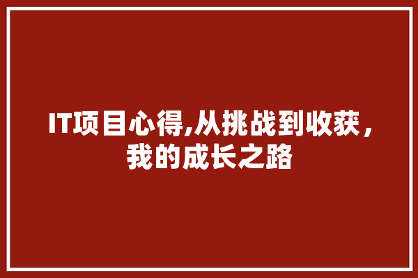 IT项目心得,从挑战到收获，我的成长之路 文字写作