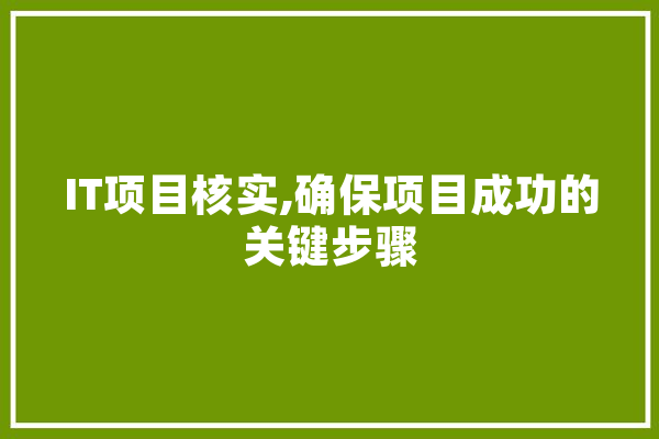 IT项目核实,确保项目成功的关键步骤 AI快讯