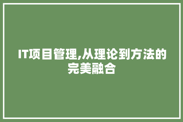 IT项目管理,从理论到方法的完美融合 智能助手