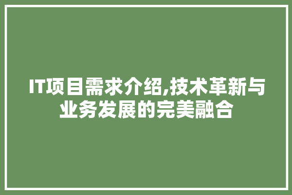 IT项目需求介绍,技术革新与业务发展的完美融合
