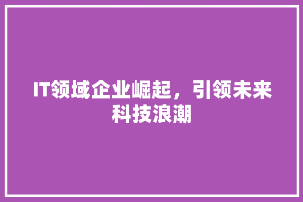 IT领域企业崛起，引领未来科技浪潮 智能助手