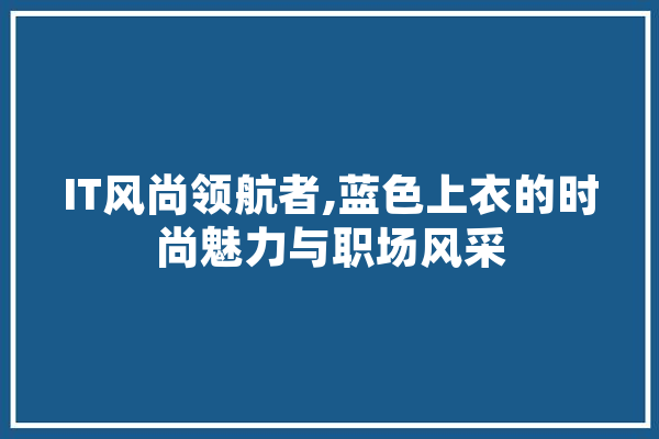 IT风尚领航者,蓝色上衣的时尚魅力与职场风采