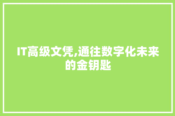 IT高级文凭,通往数字化未来的金钥匙 云服务