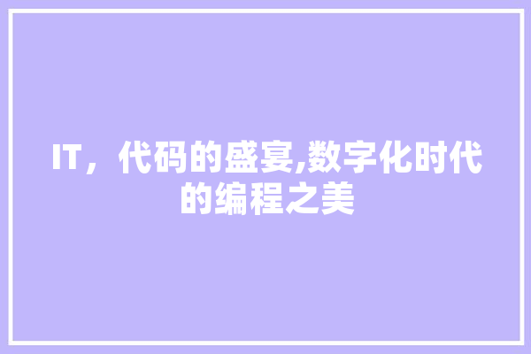 IT，代码的盛宴,数字化时代的编程之美