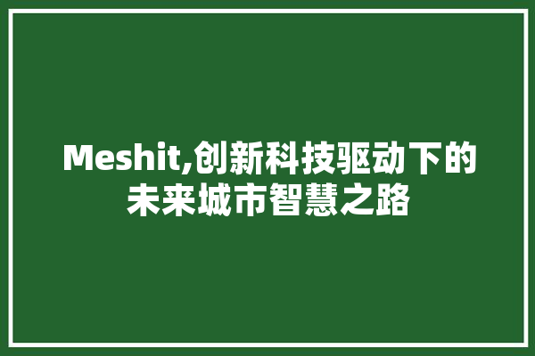 Meshit,创新科技驱动下的未来城市智慧之路