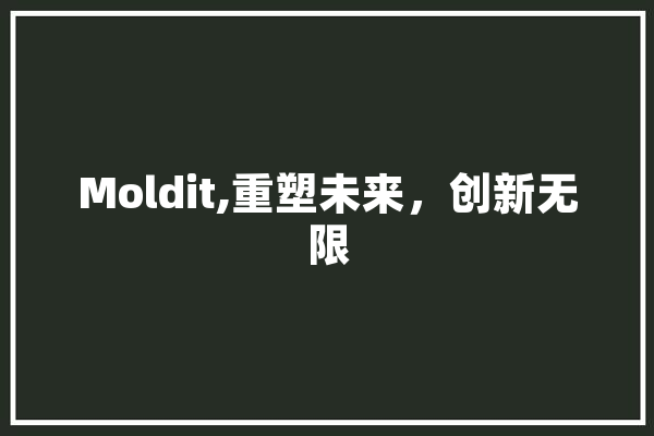 Moldit,重塑未来，创新无限 文字写作