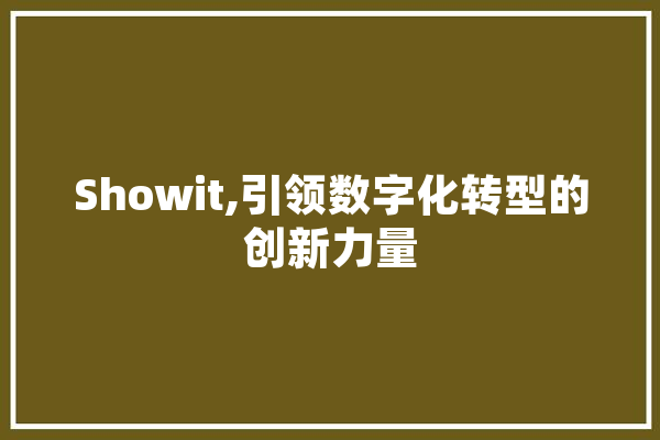 Showit,引领数字化转型的创新力量