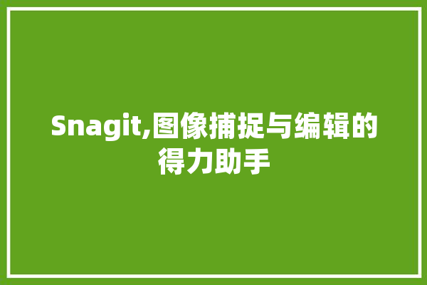 Snagit,图像捕捉与编辑的得力助手 智能写作