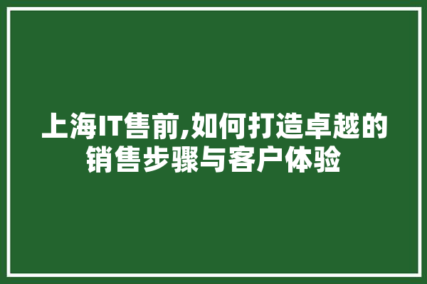 上海IT售前,如何打造卓越的销售步骤与客户体验