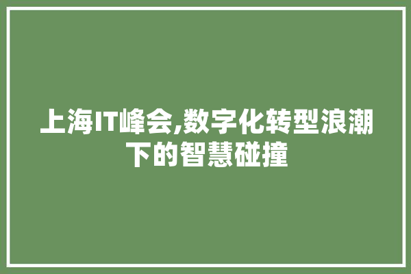 上海IT峰会,数字化转型浪潮下的智慧碰撞